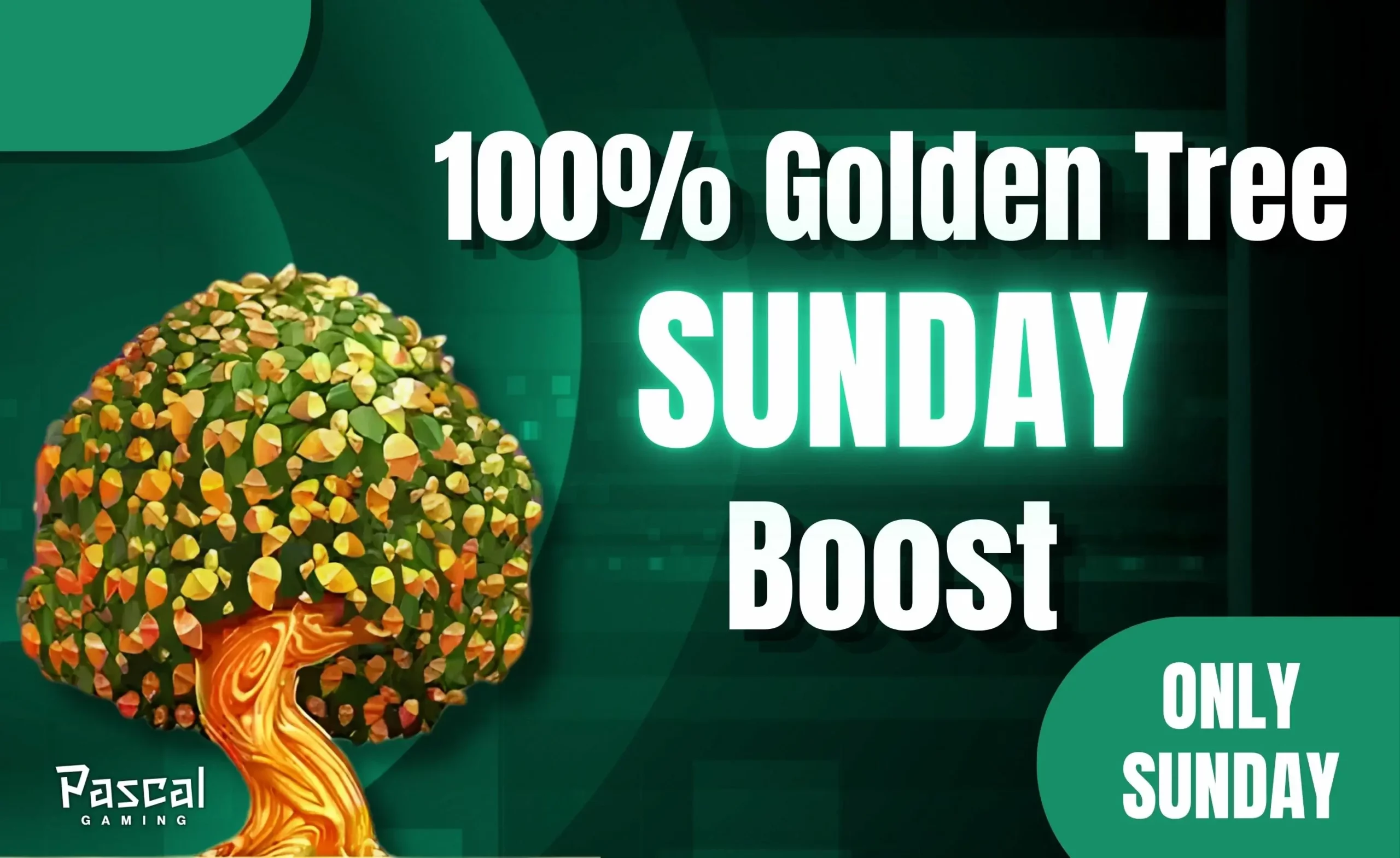 100% Golden Tree Sunday